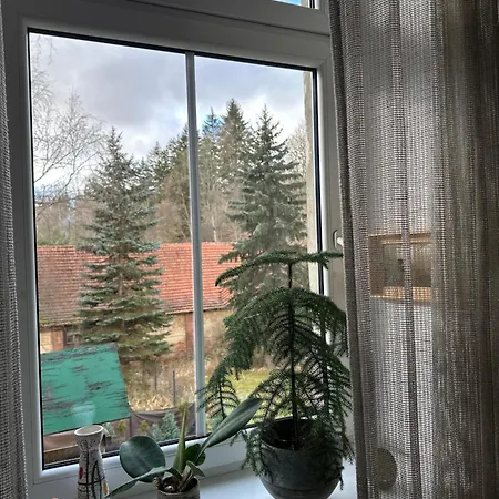 Znajomi Znajomych Апартаменты *